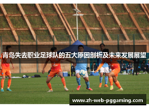 青岛失去职业足球队的五大原因剖析及未来发展展望