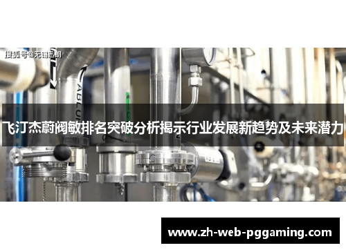 飞汀杰蔚阀敏排名突破分析揭示行业发展新趋势及未来潜力 飞汀杰蔚阀敏排名突破分析揭示行业发展新趋势及未来潜力